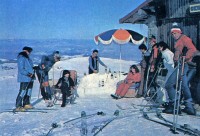 Витоша - чайна "Пингвина"