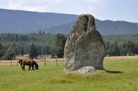 село Побит камък, Пазарджишко