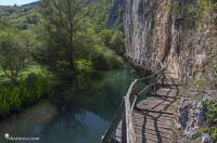 _DSC4258