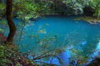 izvor_glava_panega