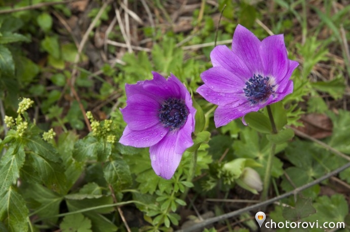 photo_workshop_meteora_meteora_DSC0210