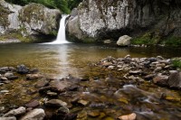 p_1248199278_IMG_2080