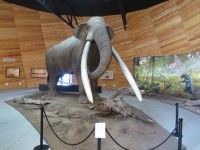 10906212_638879729572580_1814076396589217247_n