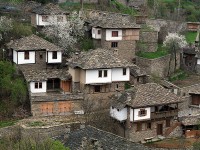 iamgesKovachevica1