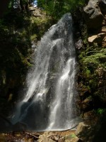 img_257487_1552369_l