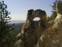 S4022850